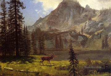  Bierstadt Lienzo - La llamada de lo salvaje Montaña Albert Bierstadt